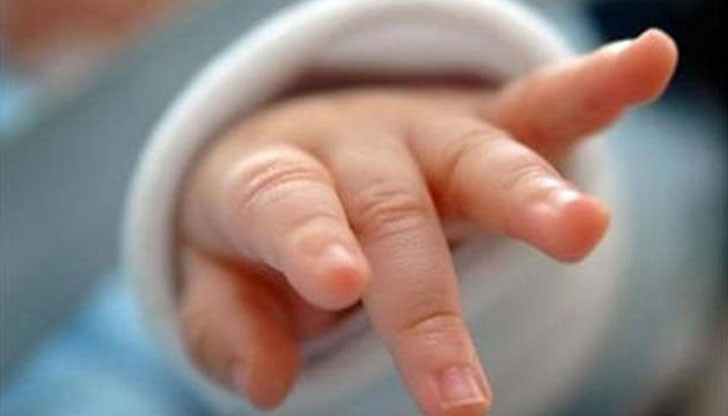 Стойността на новороденитe е варирала от 6 000 до 8 000 евро