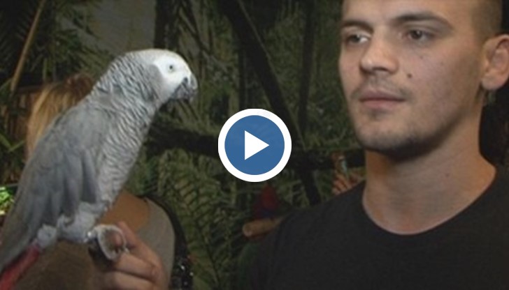 Жорко е научил стихотворението на Иван Вазов само за две седмици