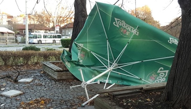 До момента са подадени повече от 10 сигнала за счупени клони и за откачени ламарини от покриви До момента са подадени повече от 10 сигнала за счупени клони и за откачени ламарини от покриви