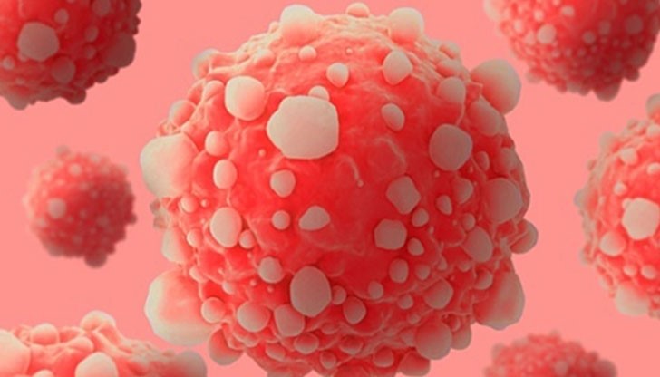 Екипът от БАН установил, че рапаните и раците в Черно море имат вещества, полезни за лечение на рак