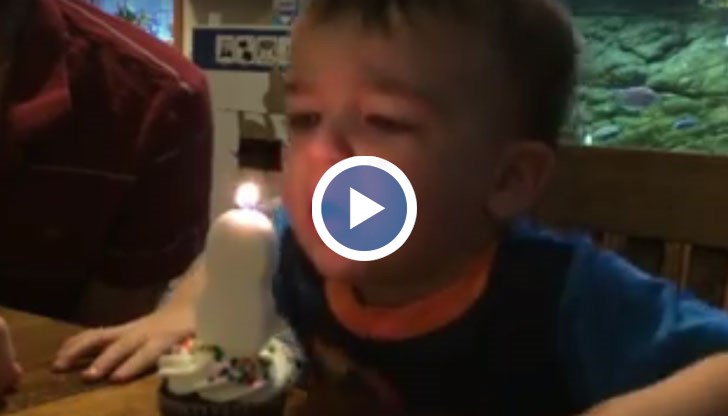Мъникът навършва цели 2 години и още не умее да си духни свещичката