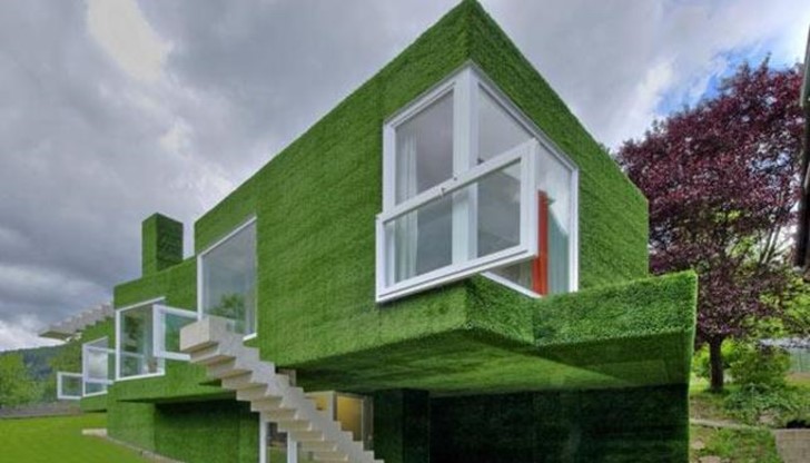 Зелена фасада, изследващата връзката между човек, природа и архитектура