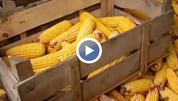 Тези кадри ще ви върнат в детството и ще си спомните за един истински живот