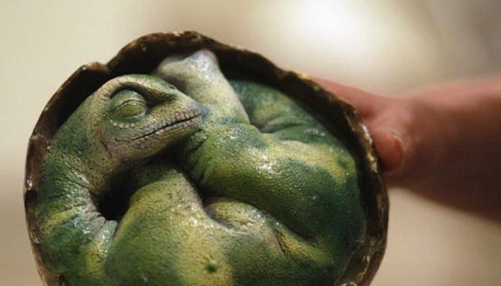 Това е откритие което се случва веднъж в живота