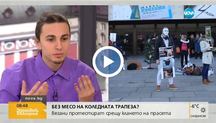 А пчелите майки са изнасилвани