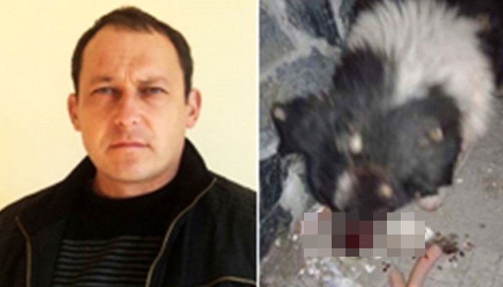 Кметът е разследван от прокуратурата за бруталното убийство на животното