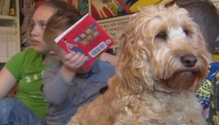 Теди направи едно семейство особено щастливо преди Коледа Теди направи едно семейство особено щастливо преди Коледа