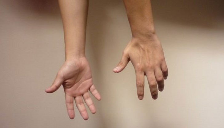 По дължината на показалеца и безименния пръст може да се определят много важни неща