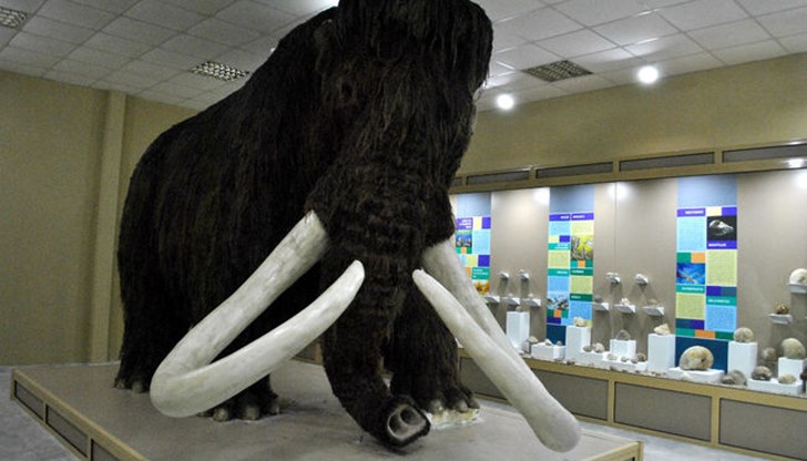 Камери са заснели престъплението Камери са заснели престъплението