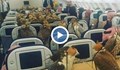 Птици пътуват в първа класа!