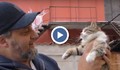 Пожарникари от Търговище спасиха малко коте