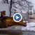 ТИР се нацепи в снегорин