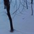 Вятър с 50км/ч прави снегонавявания в Русе