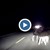 Млада шофьорка отнесе стадо елени в тъмното