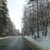 Пътната обстановка в Русенско