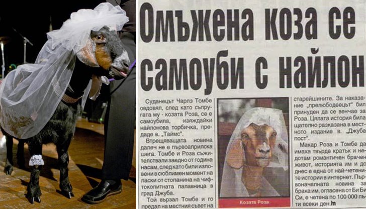 Топ 20 на най-безумните заглавия от вестниците! Топ 20 на най-безумните заглавия от вестниците!