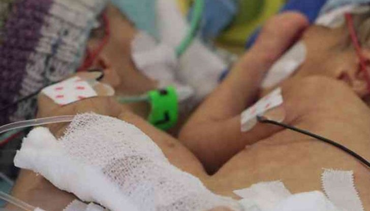 Раждането станало на неустановена до момента дата в края на миналата година