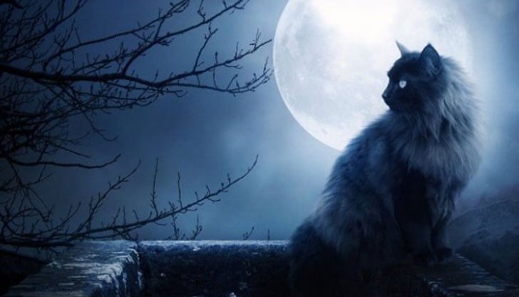 Страхът от този ден се нарича "параскевидекатриафобия"