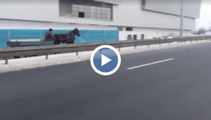 Мъжът хич не се интересува, че погазва закона и застрашава останалите участници в движението