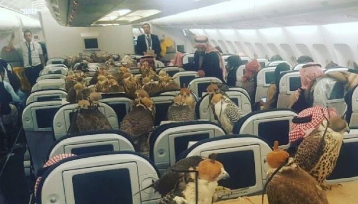 Птичка да бъдеш в днешно време, особено на саудитски принц