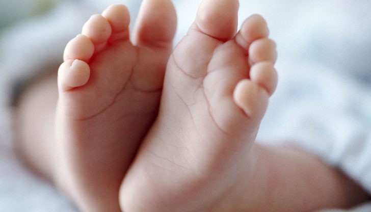 Малката дама се е родила тази сутрин в 7:05 часа Малката дама се е родила тази сутрин в 7:05 часа