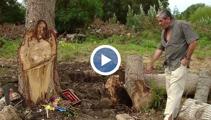 Заради „чудото“ мястото беше посетено от много поклонници.