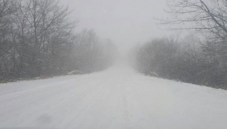 Заради усложнената метеорологична обстановка пътя Русе – Варна на територията на Област Русе се затваря за движение на МПС с обща маса над 3.5 т и в двете посоки Заради усложнената метеорологична обстановка пътя Русе – Варна на територията на Област Русе се затваря за движение на МПС с обща маса над 3.5 т и в двете посоки