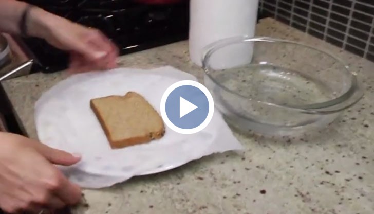 Всичко, от което се нуждаете, е парче мека хартия, вода и микровълнова печка