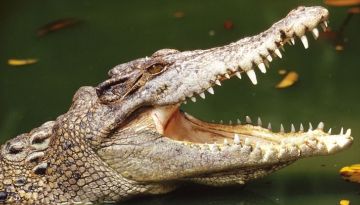 Кличко-младши пусна снимка от инцидента в социалните мрежи