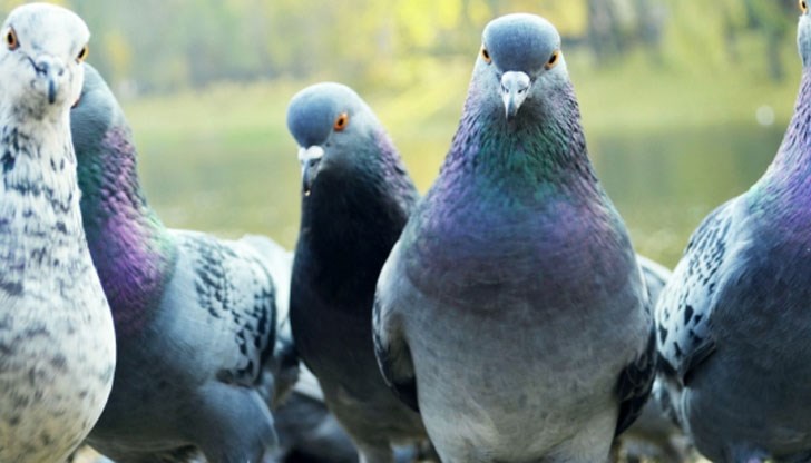 Всъщност обяснението е доста просто и логично! Всъщност обяснението е доста просто и логично!