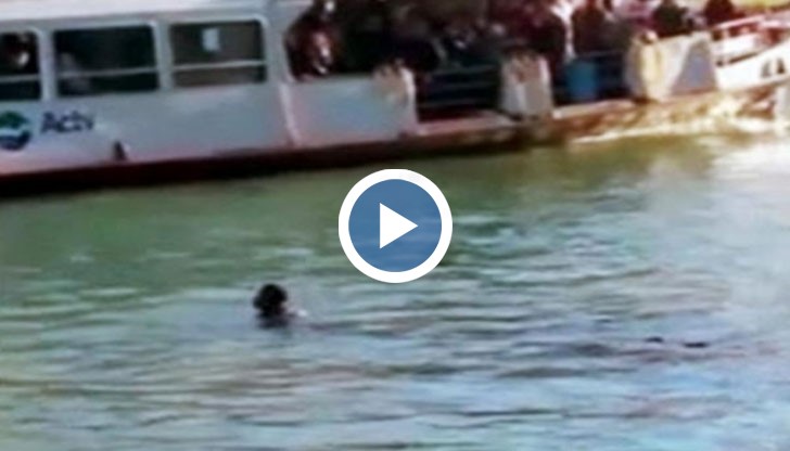 Хората го снимат, но никой не му помага