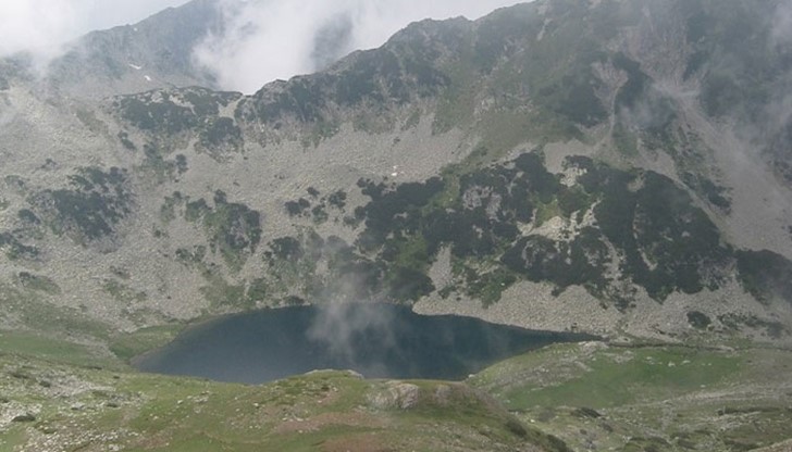 "За да остане природа в България“ предупреждава, че приетият закон е в нарушение на обществения интерес