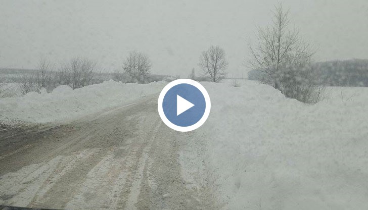 По този маршрут, единствено дърветата напомнят, че някъде там има шосе