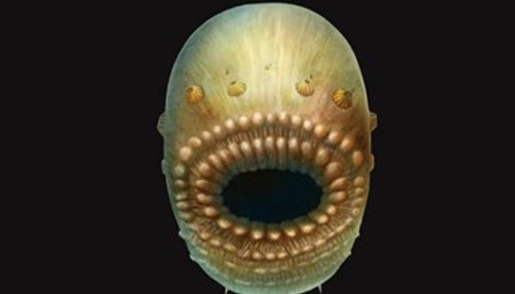 Учени заявиха, че това е най-старият прародител на човека