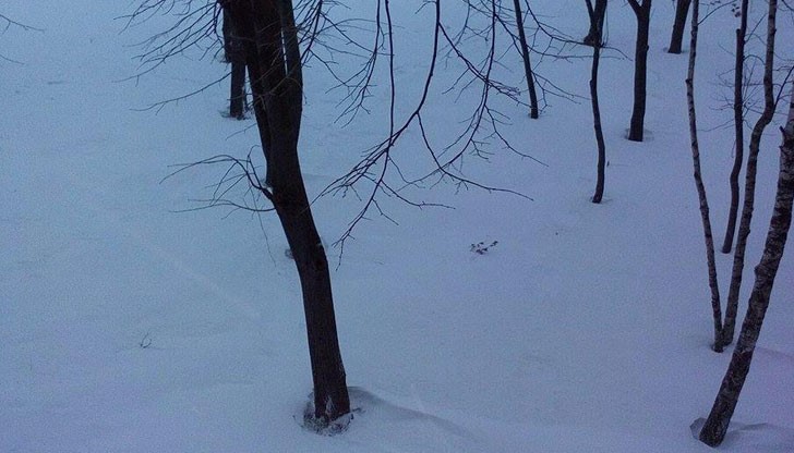 Най-ниската измерена температура е била -4 градуса, но заради силните ветрове времето е изглеждало далеч по-сурово