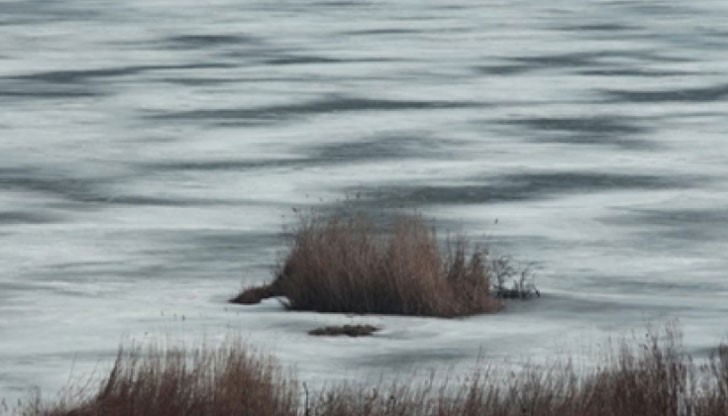 Природният резерват Сребърна е затворен за туристи и въдичари Природният резерват Сребърна е затворен за туристи и въдичари
