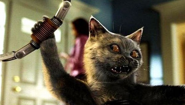 Секретната операция „Акустична котка” е замислен в научно техническия отдел на ЦРУ