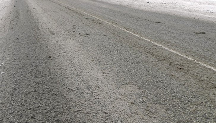 Миризмата на прошуто извадила от равновесие всички кучета