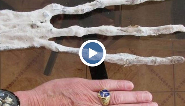 Ръката е намерена в близост до място, където наскоро е открит странен удължен череп
