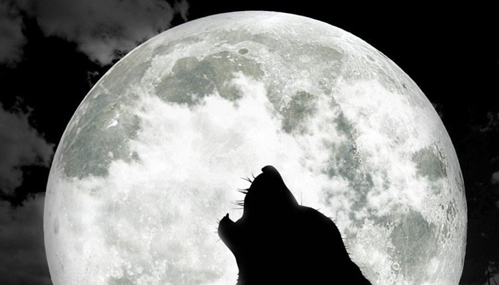 Трябва да довършите нещата, които са останали от миналата година, за да освободите място за нови