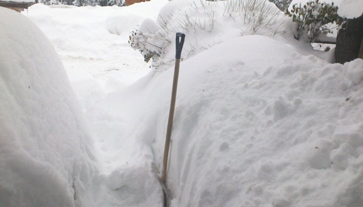 Мъжете се спречкали, последвал водопад от ругатни и обиди, а накрая въоръженият с металното гребло се нахвърлил с него върху опонента си Мъжете се спречкали, последвал водопад от ругатни и обиди, а накрая въоръженият с металното гребло се нахвърлил с него върху опонента си