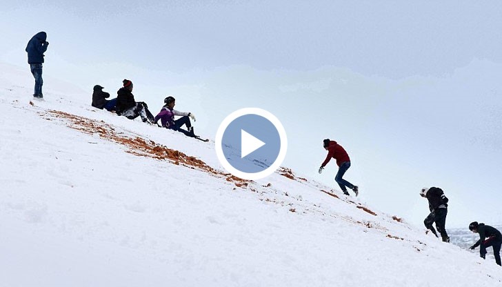 Децата в Алжир за пръв в живота си правят снежни човеци и се пързалят с шейни