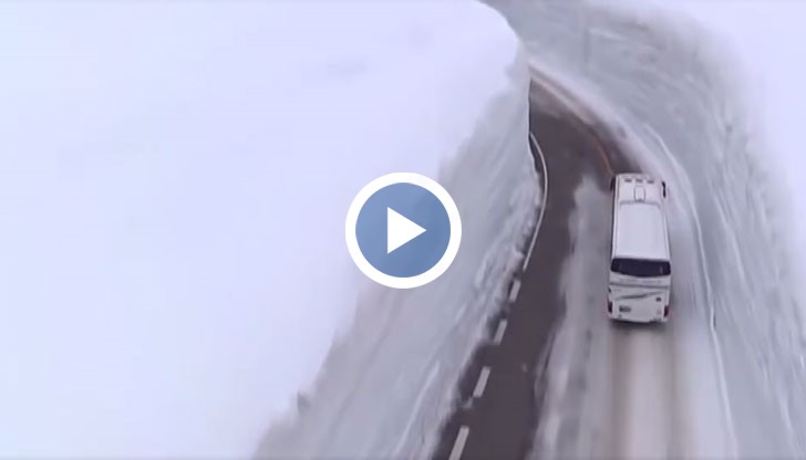 Любопитни кадри от Япония