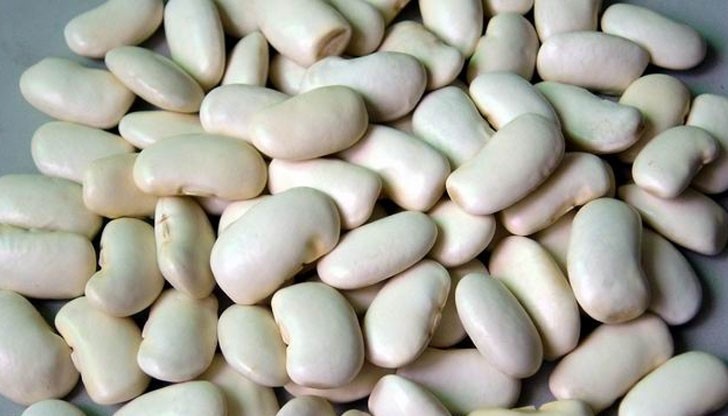 Кило зрял фасул според данни на Държавната комисия по стоковите борси вече се продава по 4,90 лв. за килограм Кило зрял фасул според данни на Държавната комисия по стоковите борси вече се продава по 4,90 лв. за килограм