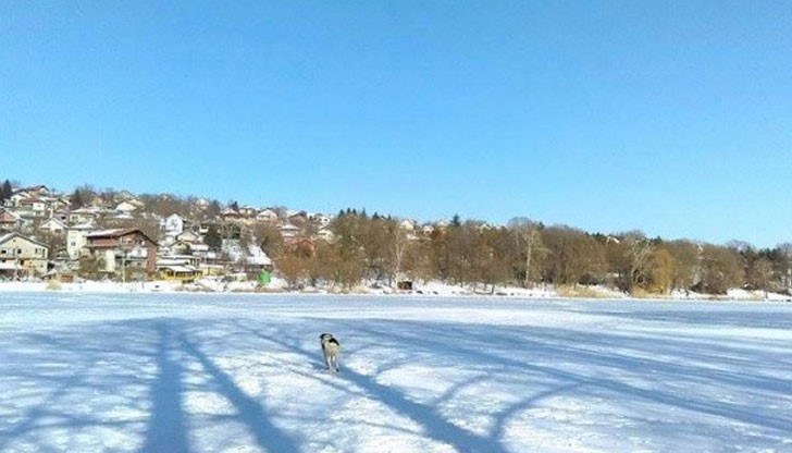 Безразсъдни двуноги се разхождат по замръзналото езеро в Лесопарк Липник