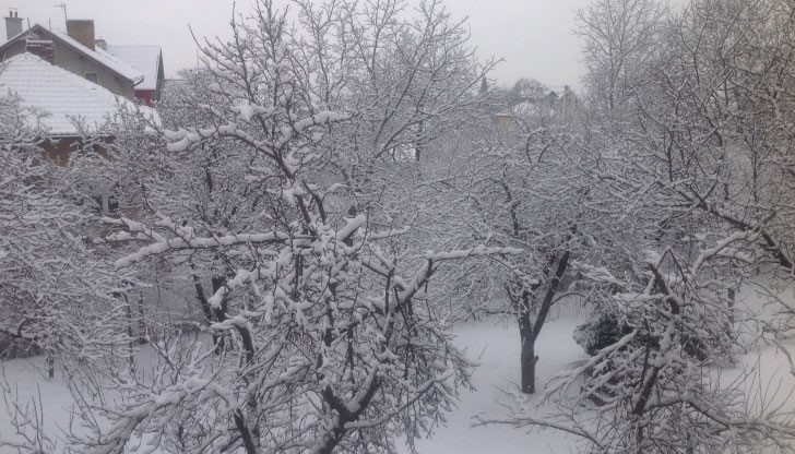 Сутрешен студ скова страната Сутрешен студ скова страната