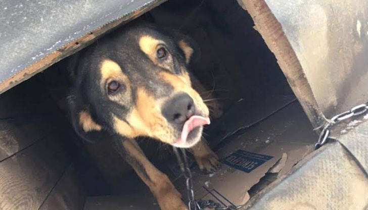 Дарението е под формата на кашони, които се използват като вид изолация