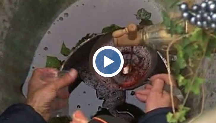 Това обаче не е чудо, а част от празниците, посветени на виното