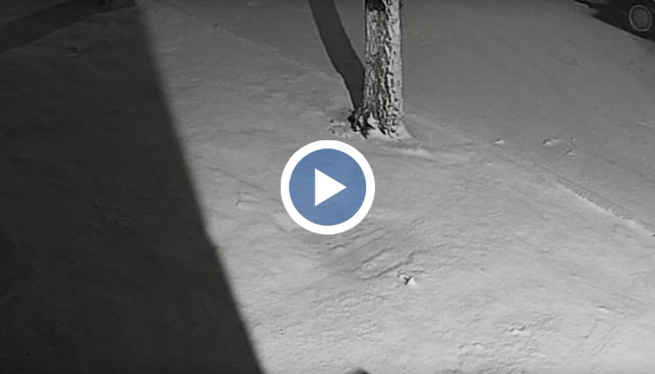 Гръм и мълнии насред снежна виелица през януари