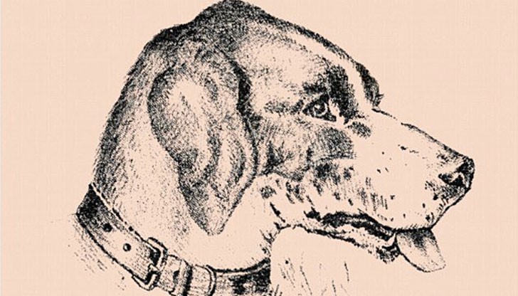 Зрителната илюзия е толкова лесна, че може и дете да я разгадае